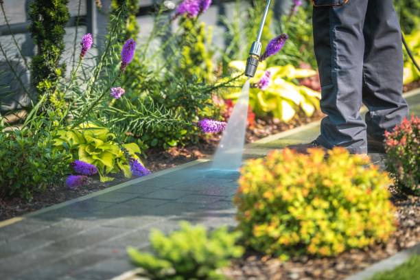 Best Winterizing Services  in Mans, CO