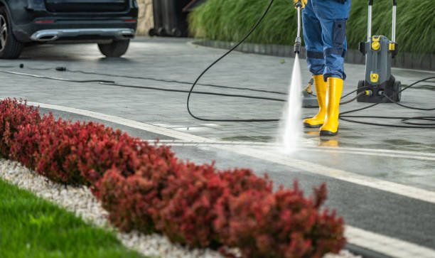 Best Factory Floor Cleaning  in Mans, CO
