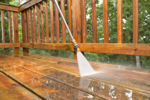 Best Animal Enclosure Cleaning  in Mans, CO